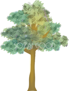シンプルな木 ムクノキの無料イラスト81517