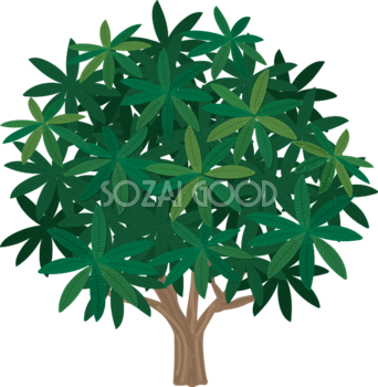 木 シンプルなビワの木 無料イラスト82050