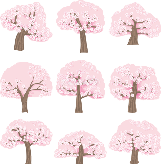 桜の木セット シンプル 無料イラスト82063 素材good