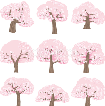 桜の木セット シンプル 無料イラスト82063