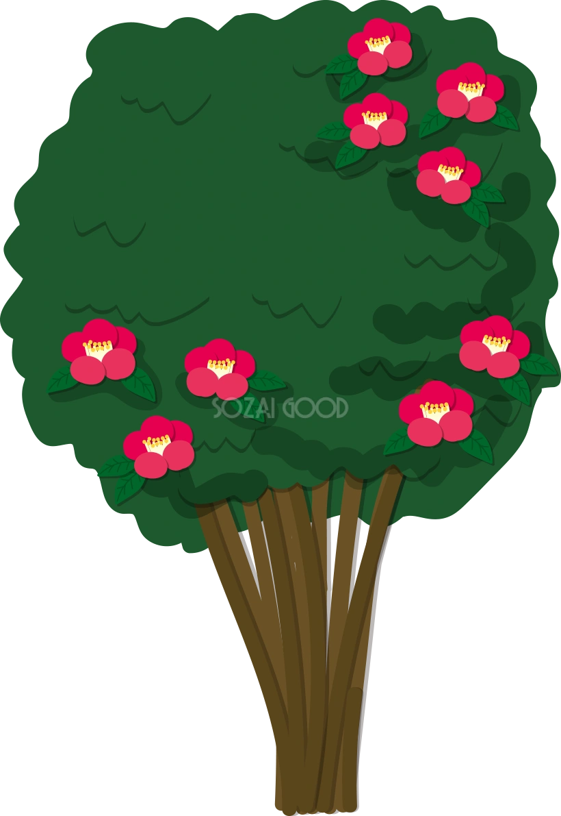 木 シンプルなつばき 無料イラスト82064