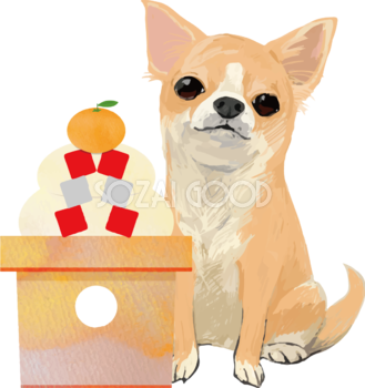 チワワ 犬 イラスト 無料フリー 素材good