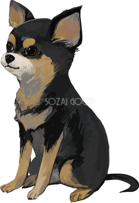 チワワ 犬 イラスト 無料フリー 素材good