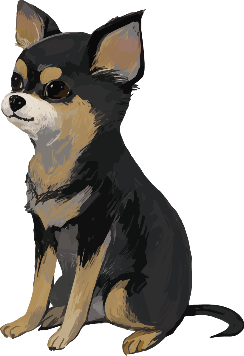 チワワ(犬)のお座り・座る リアル手書き風無料イラスト82162に写真・文字を入れる