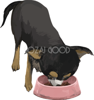 チワワ(犬)の食べる リアル手書き風無料イラスト82168