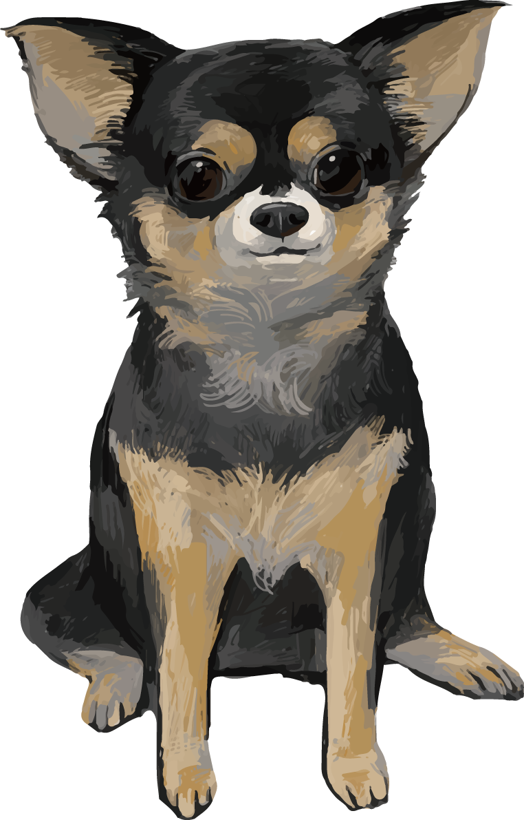 チワワ(犬)の正面 リアル手書き風無料イラスト82170に写真・文字を入れる
