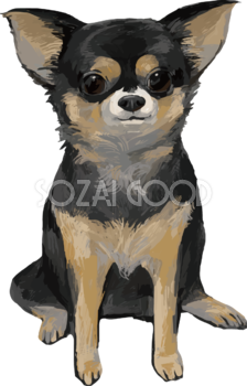 チワワ 犬 イラスト 無料フリー 素材good