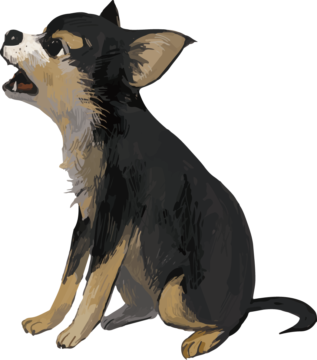 チワワ(犬)の吠える リアル手書き風無料イラスト82174に写真・文字を入れる