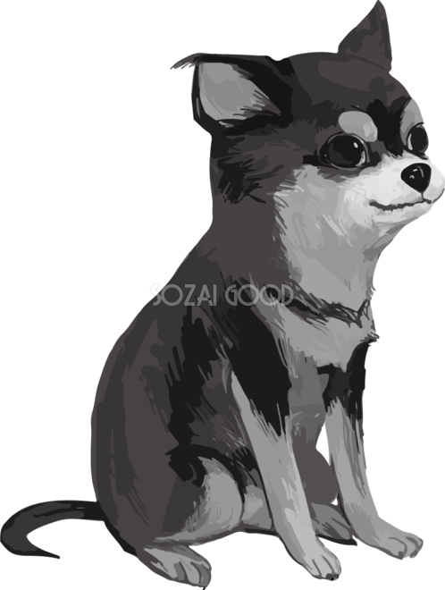 白黒シルエットのチワワ 犬 リアル手書き風無料イラスト180 素材good