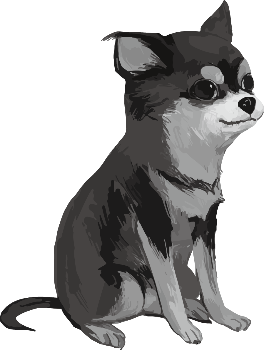 モノクロのチワワ(犬) リアル手書き風無料イラスト82180に写真・文字を入れる