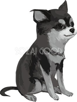 白黒シルエットのチワワ 犬 リアル手書き風無料イラスト82180 素材good