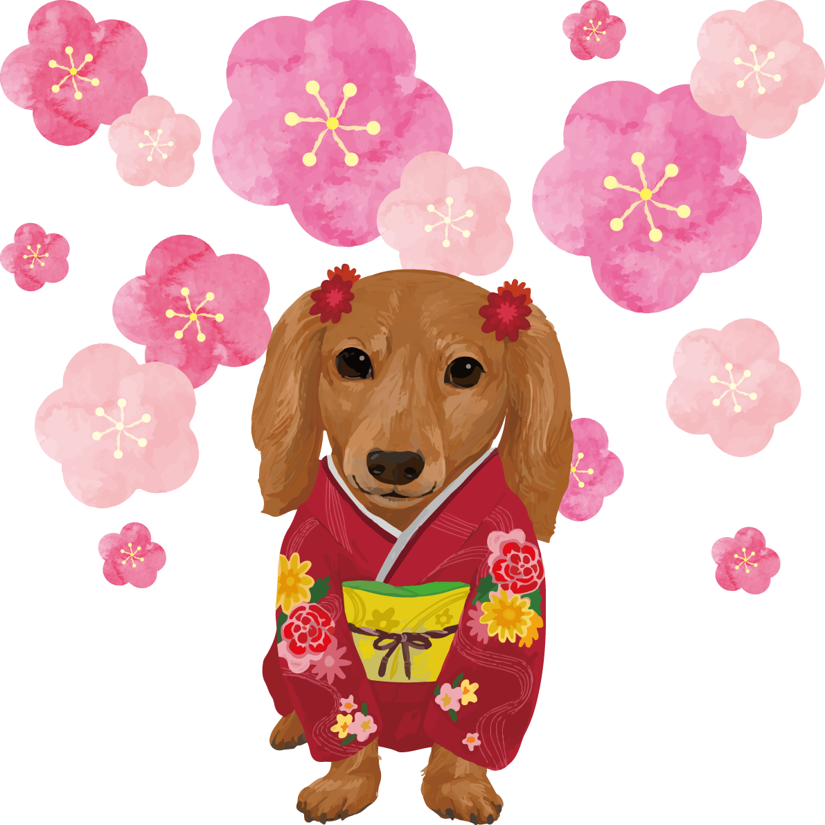 ミニチュア・ダックスフンド犬 お正月の正装女の子 戌年2018干支無料イラスト82407に写真・文字を入れる