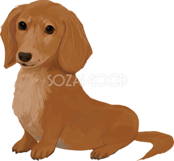 リアルな犬イラスト 無料フリー 素材good