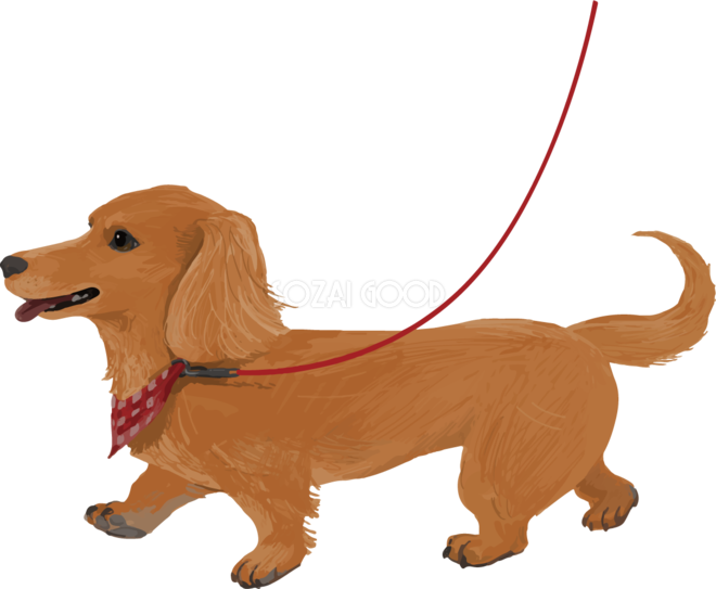 ミニチュア ダックスフンドの散歩 リアル犬の手書き風無料イラスト433 素材good