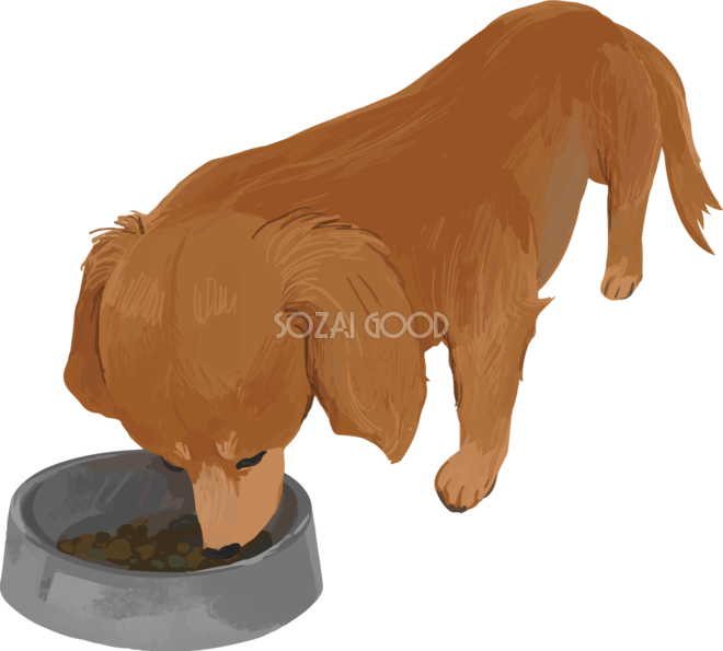 ミニチュア ダックスフンドの食べる リアル犬の手書き風無料イラスト435 素材good