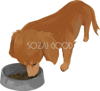 ミニチュア・ダックスフンドの食べる リアル犬の手書き風無料イラスト82435