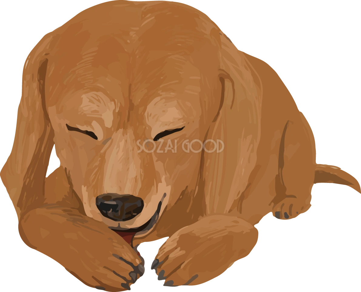 ミニチュア・ダックスフンドの毛づくろい リアル犬の手書き風無料イラスト82442