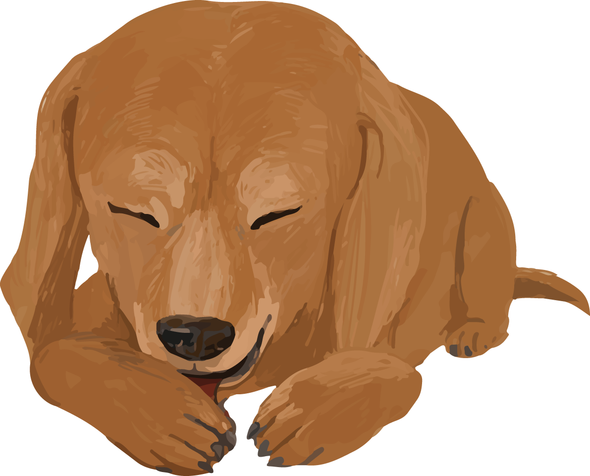 ミニチュア・ダックスフンドの毛づくろい リアル犬の手書き風無料イラスト82442に写真・文字を入れる