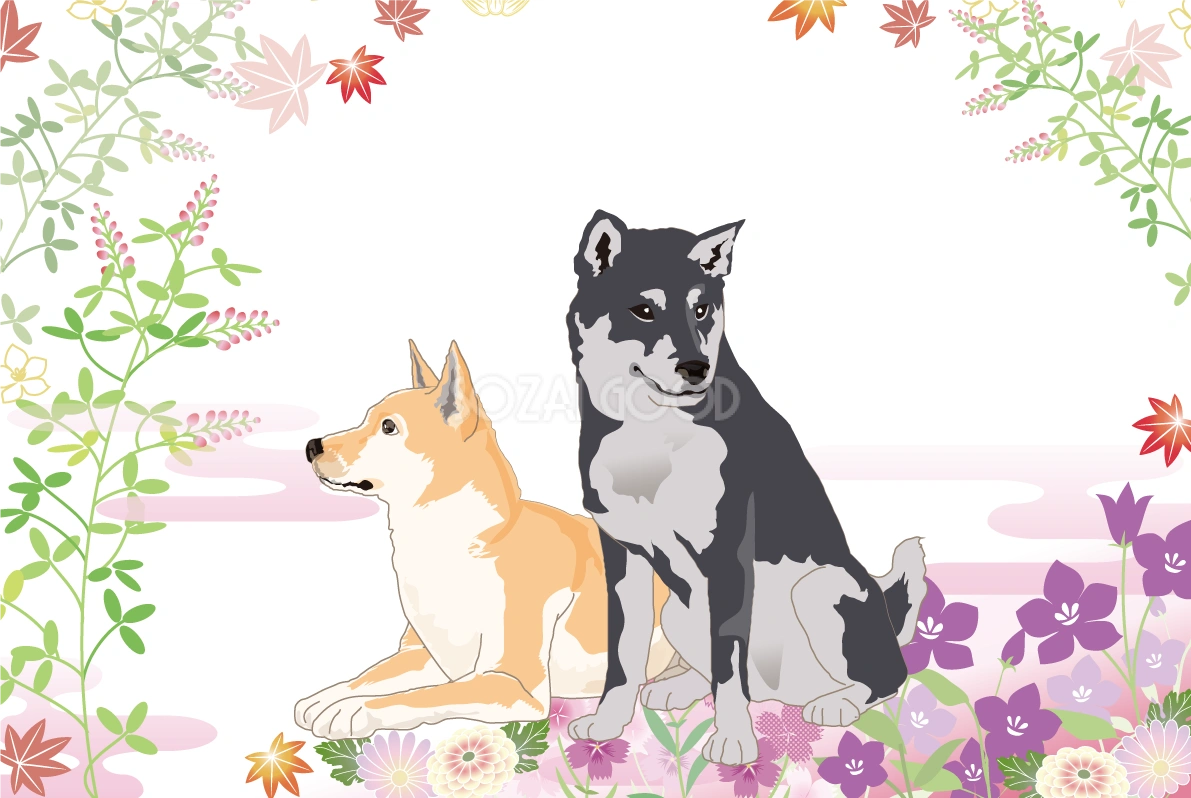 黒と茶の2匹の柴犬の背景無料イラスト82504