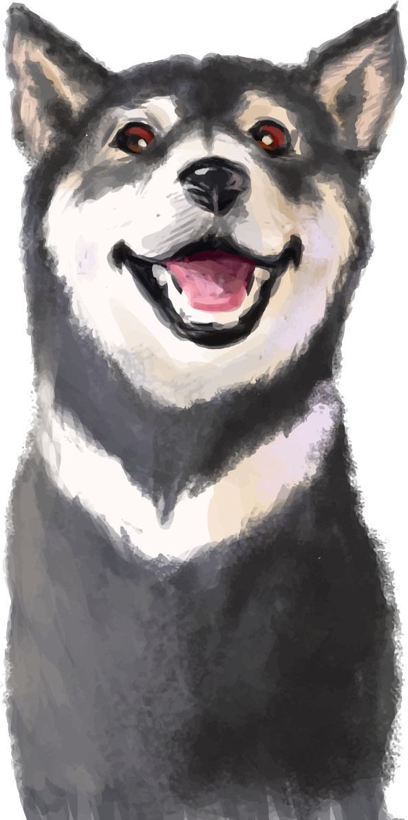 リアル黒い柴犬の正面 無料イラスト82519に写真・文字を入れる