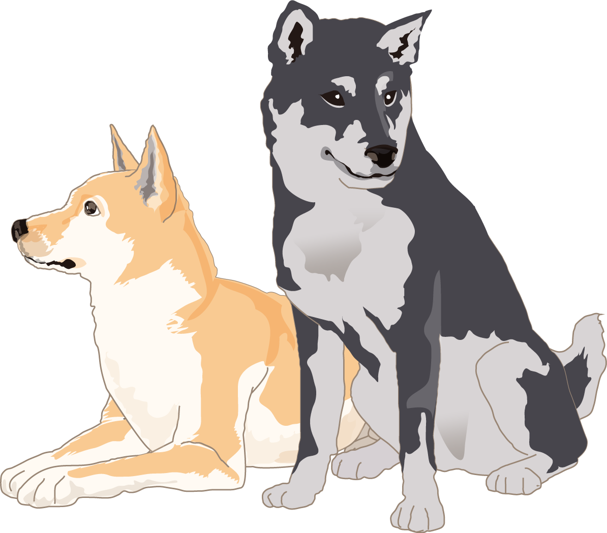 柴犬(茶と黒毛)無料イラスト82521に写真・文字を入れる