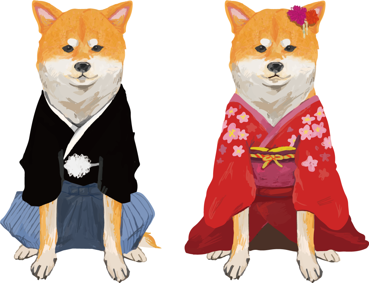 柴犬の袴と着物姿のオスとメス 無料イラスト82529に写真・文字を入れる