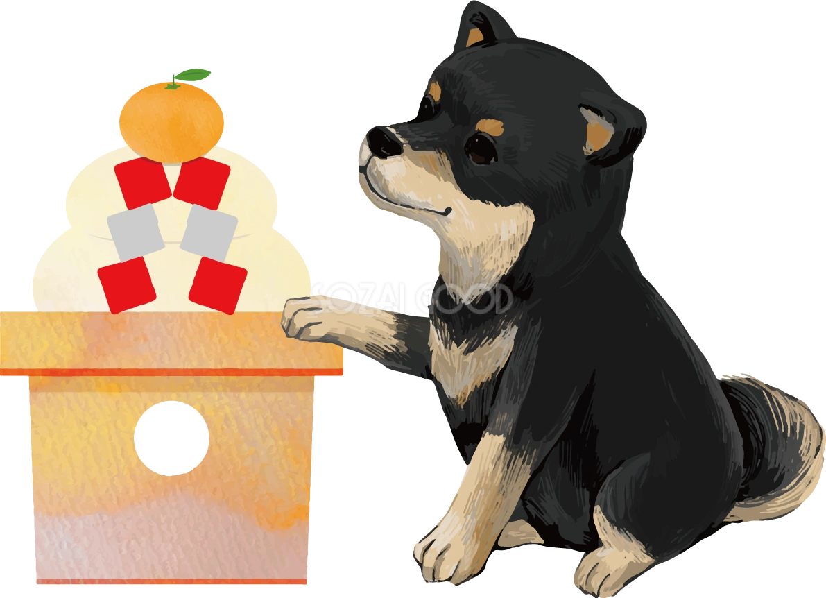 柴犬 黒毛の豆柴(鏡餅)戌年2018干支無料イラスト82624