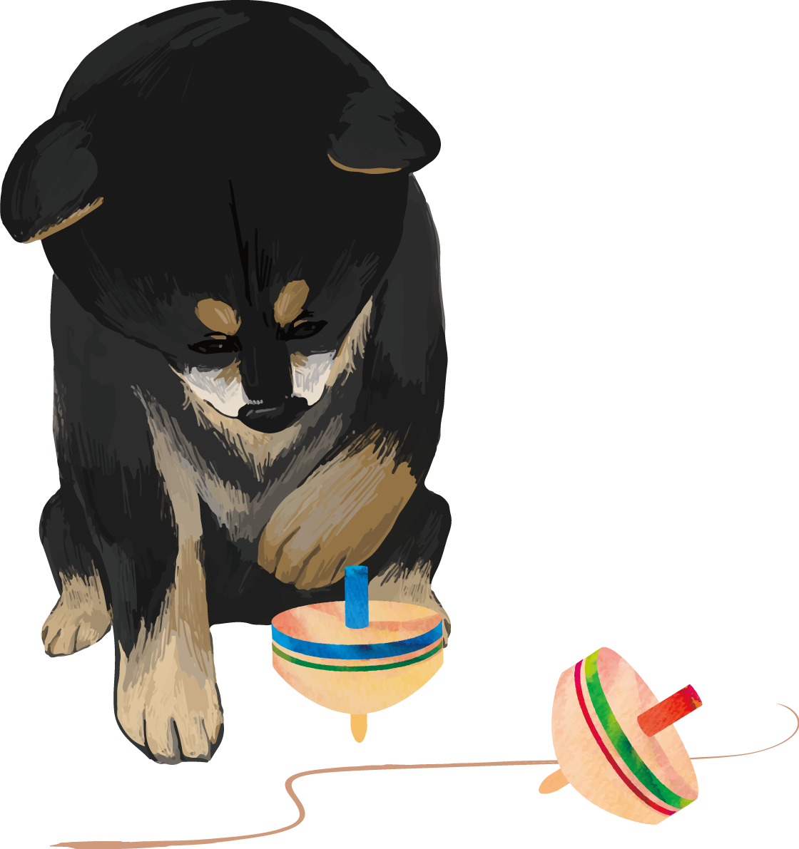 柴犬 黒毛の豆柴(駒まわし)戌年2018干支無料イラスト82626に写真・文字を入れる