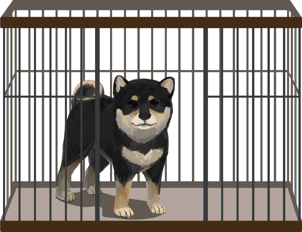 ケージと柴犬 黒毛の豆柴 リアル無料イラスト82639に写真・文字を入れる