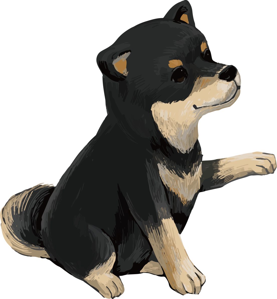 柴犬 黒毛の豆柴のお手 リアル無料イラスト82643に写真・文字を入れる