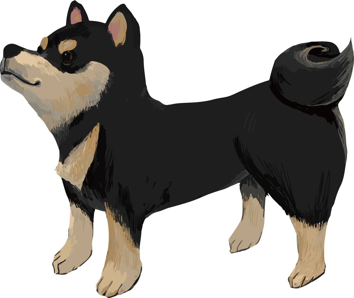 柴犬 黒毛の豆柴の横向き リアル無料イラスト82644に写真・文字を入れる