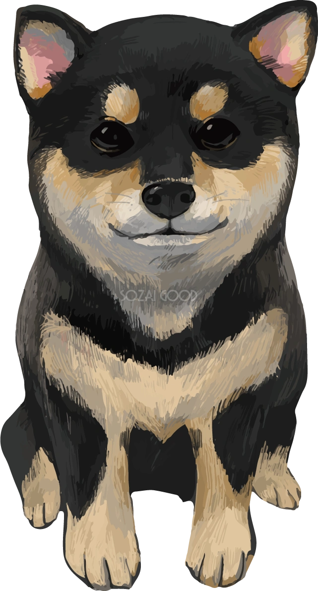 柴犬 黒毛の豆柴の正面 リアル無料イラスト82650