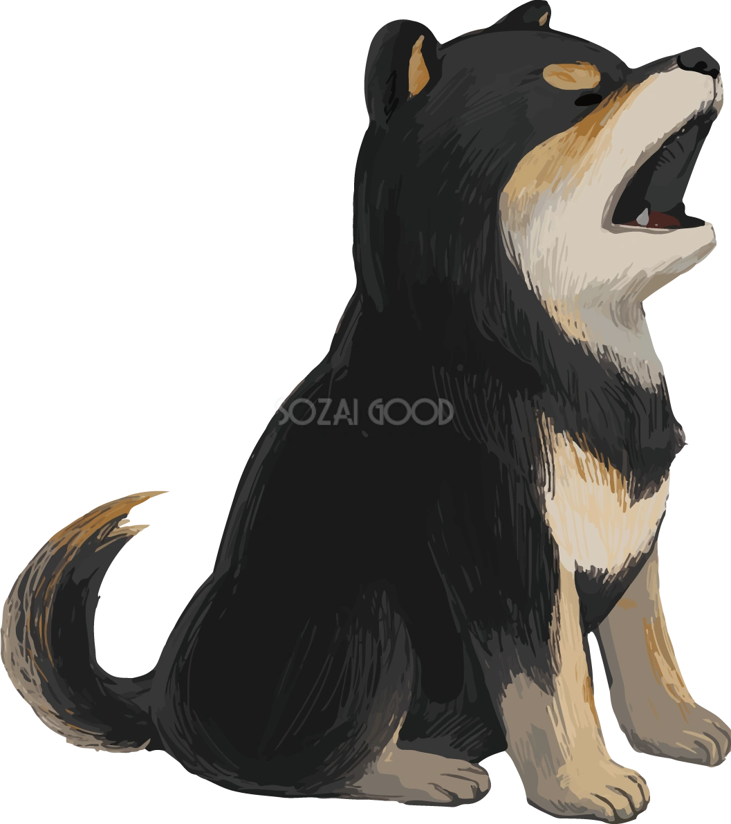 柴犬 黒毛の豆柴の吠える リアル無料イラスト82654