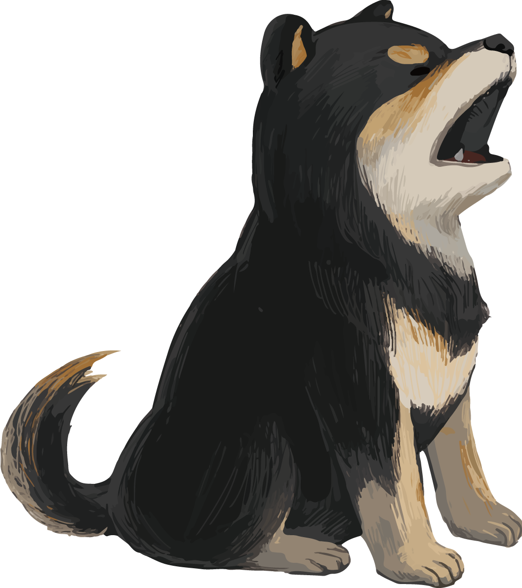 柴犬 黒毛の豆柴の吠える リアル無料イラスト82654に写真・文字を入れる