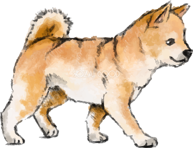 品質一番の 柴犬 シバイヌ 仔犬 犬 犬の絵 絵画 水彩画 原画 絵画 タペストリ Kerjakahwin Co