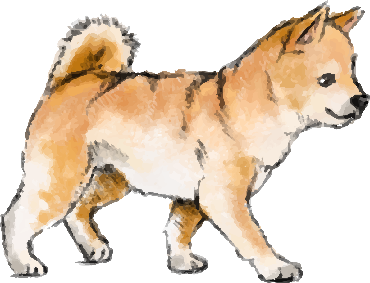 柴犬(子供犬)の水彩画風 無料イラスト82756に写真・文字を入れる