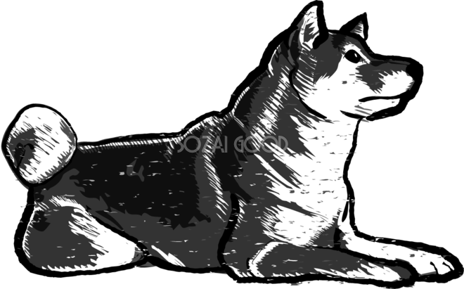 白黒柴犬の木版画 無料ラスト762 素材good
