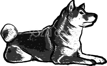 白黒柴犬の木版画 無料ラスト82762