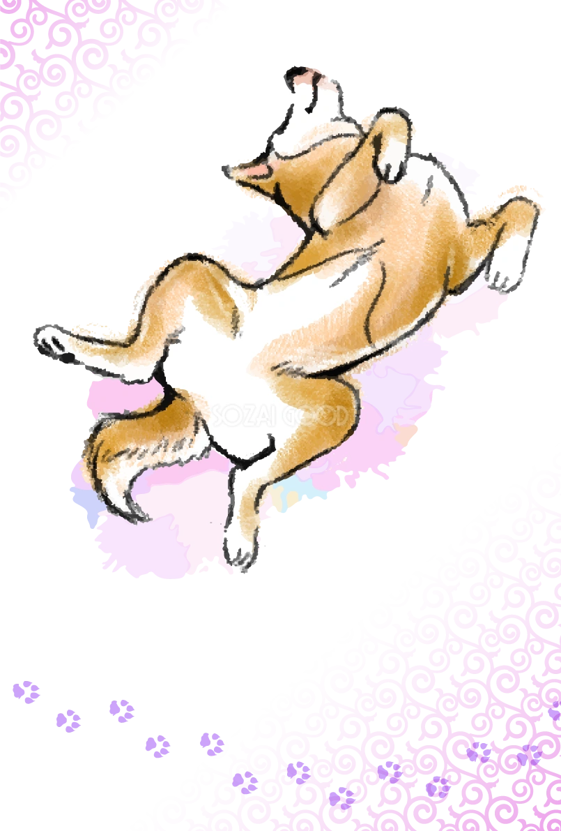 ヘソ天する柴犬の和風(縦)背景無料イラスト82765