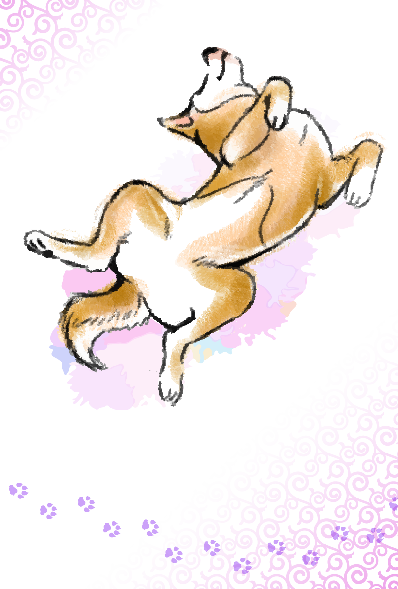 ヘソ天する柴犬の和風(縦)背景無料イラスト82765に写真・文字を入れる