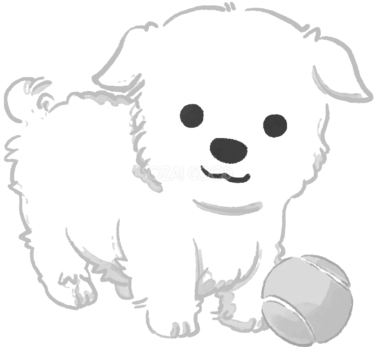 手書き風白黒の犬イラスト(無料)マルチーズ82806