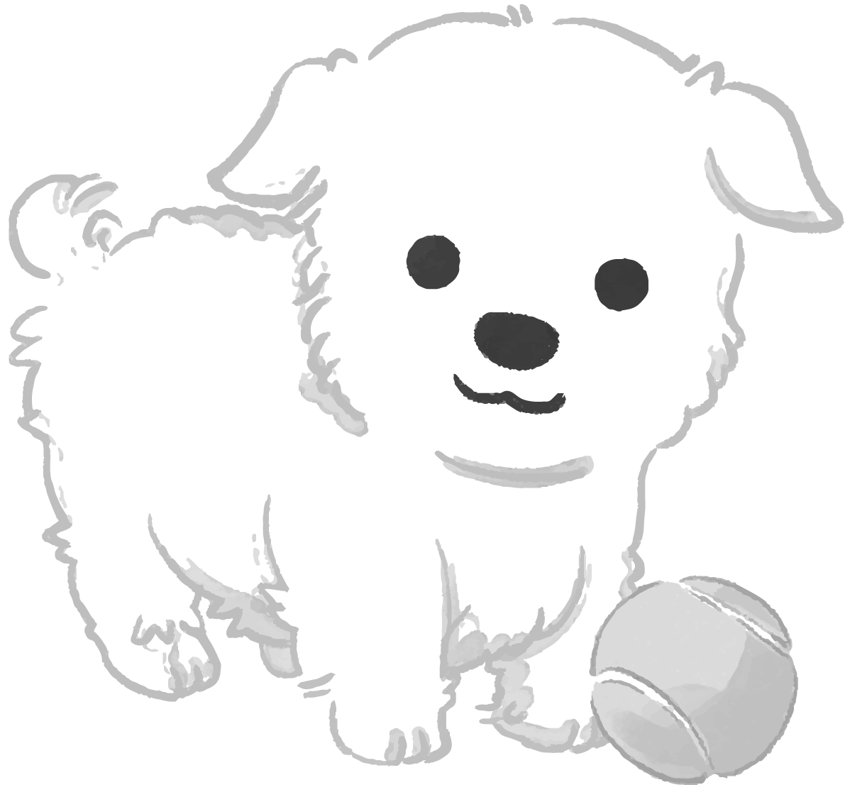 手書き風白黒の犬イラスト(無料)マルチーズ82806に写真・文字を入れる