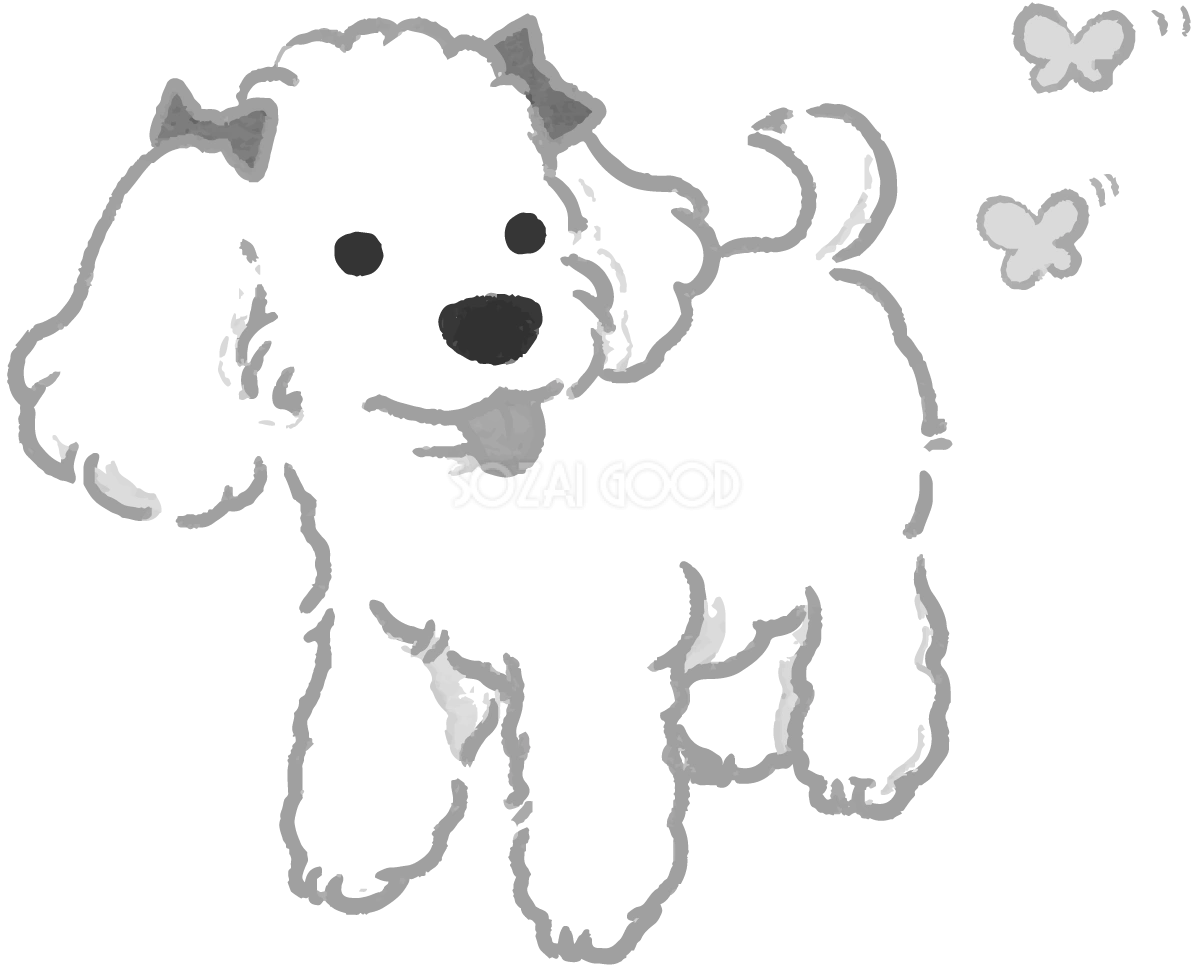 手書きトイプードル かわいい白黒の犬イラスト(無料)82862
