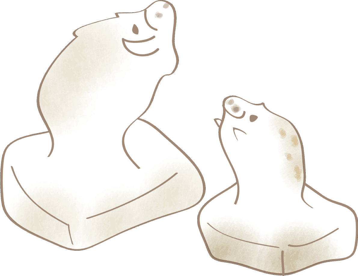お餅の猪-おしゃれかわいい2019亥年の無料イラスト83049に写真・文字を入れる