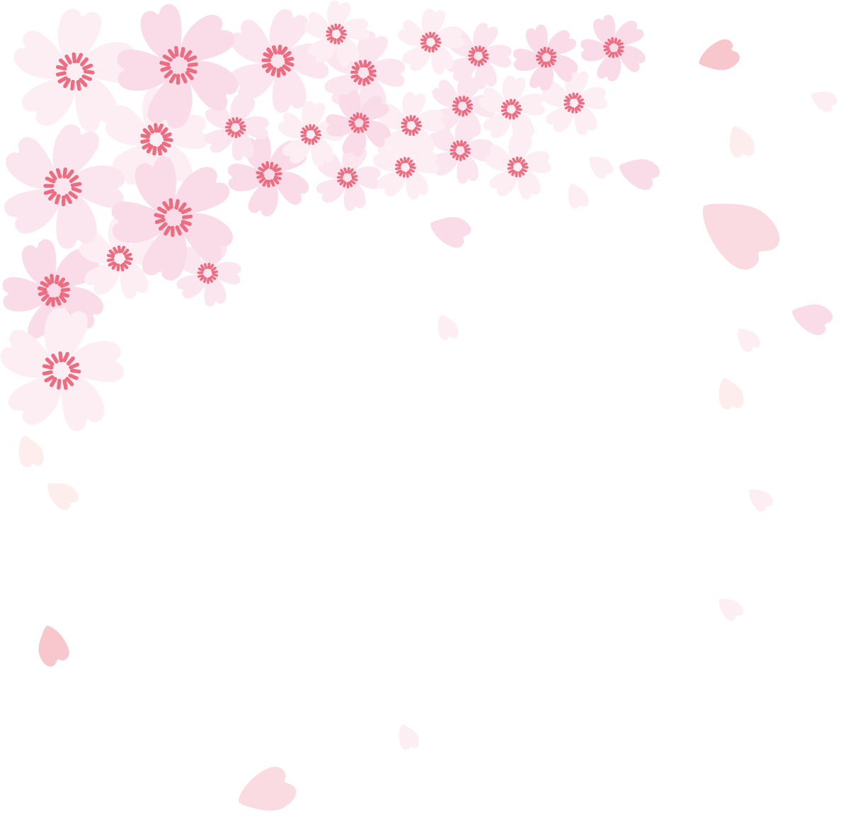 サクラ散る可愛い飾り花びら透過イラスト背景なし 無料 フリー83076に写真・文字を入れる