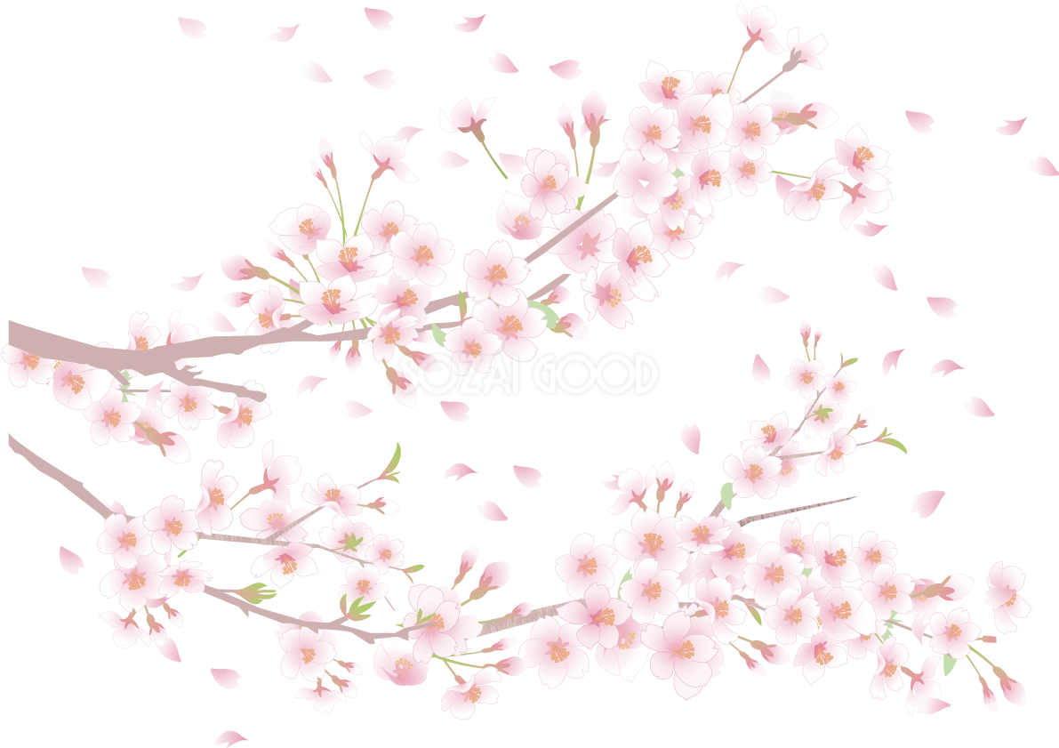 リアルな桜の枝が伸びるイラスト 無料 フリー83078