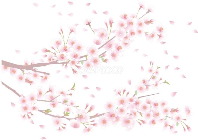 桜の枝イラスト 無料 フリー 素材good