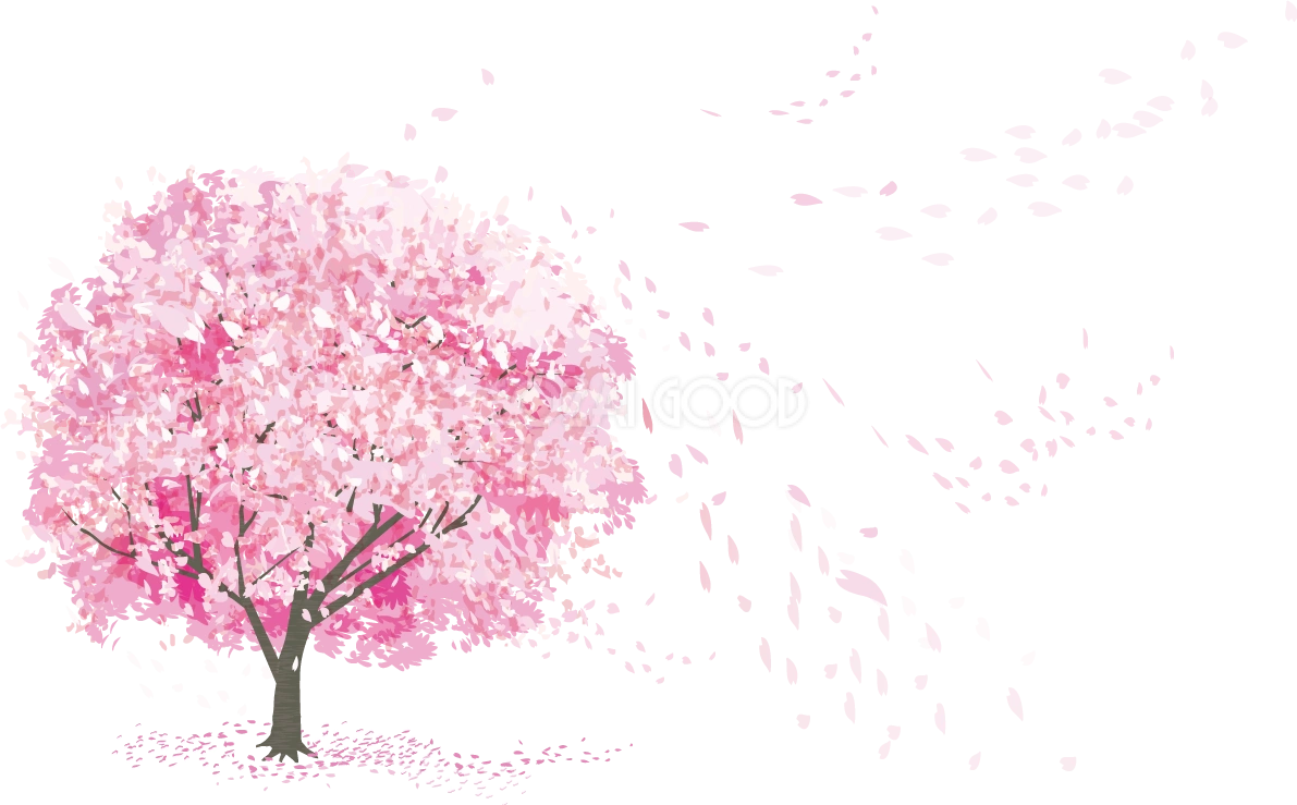 リアルな一本の桜の木から風で舞う花びら透過イラスト背景なし無料 フリー83079