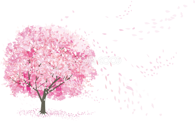 桜 花びら散るイラスト 透過 背景なし無料 フリー 素材good