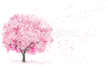 リアルな一本の桜の木から風で舞う花びら透過イラスト背景なし無料 フリー83079